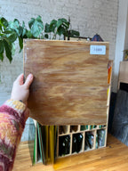 Person holding a piece of brown swirled stained glass with a plant in the background