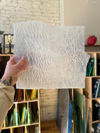 Textured white sheet of glass held by a hand in front of a bookshelf.