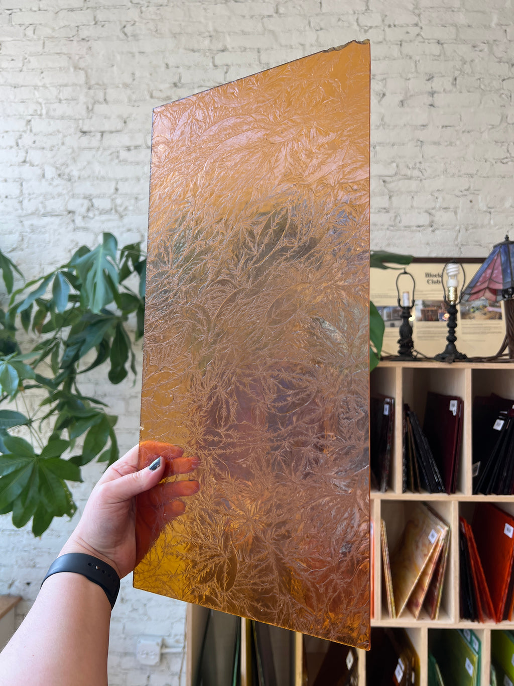 Wissmach Apricot Glue Chip