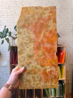 [#408] Youghiogheny Oceana Orange, Silver, Yellow