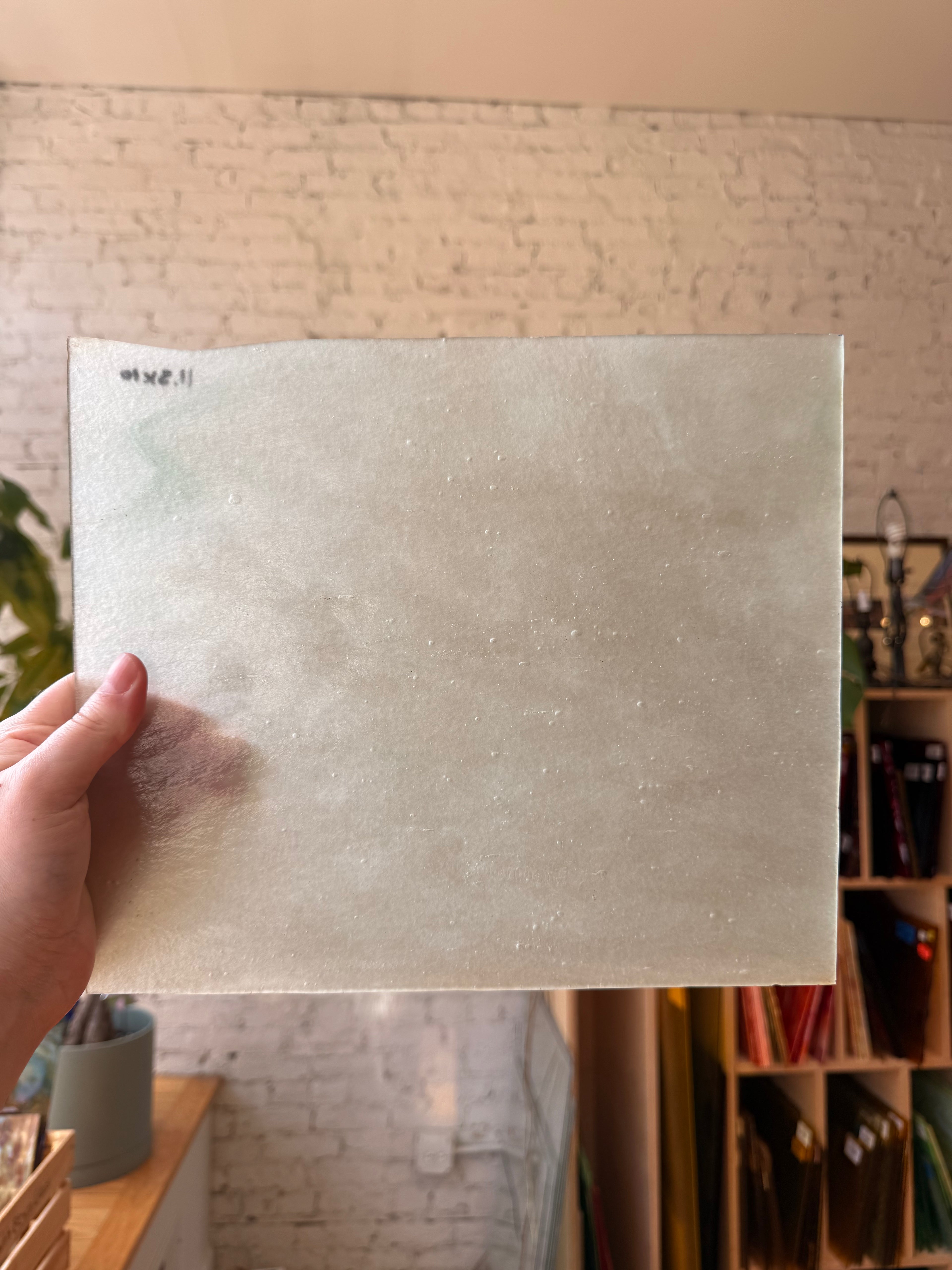 Youghiogheny Ice White Pale Green Stipple