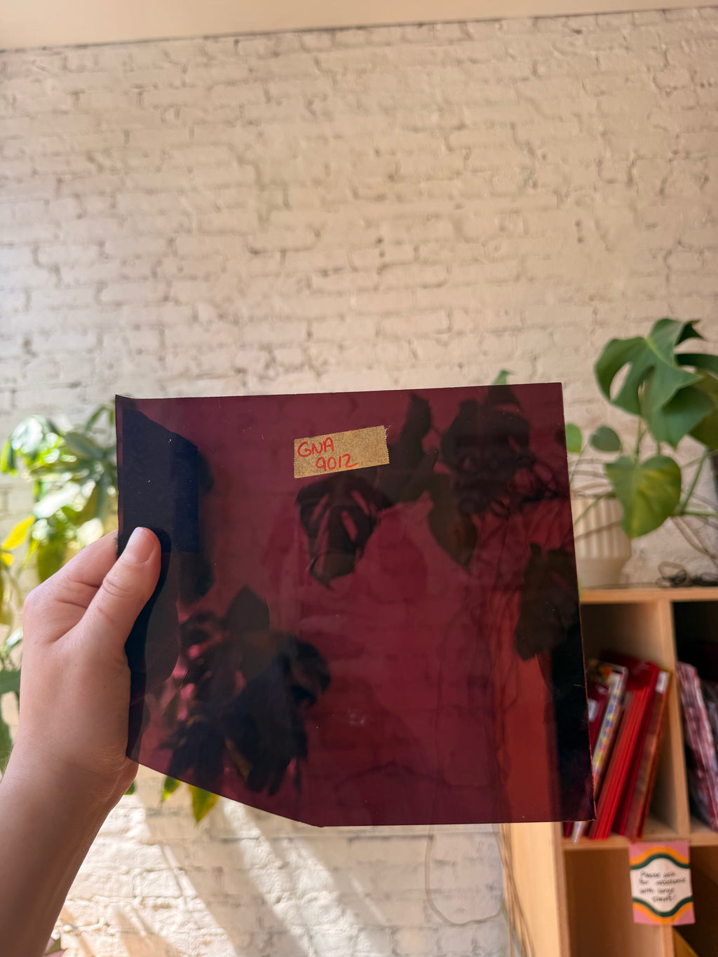 GNA Dark Wine Magenta Cathedral