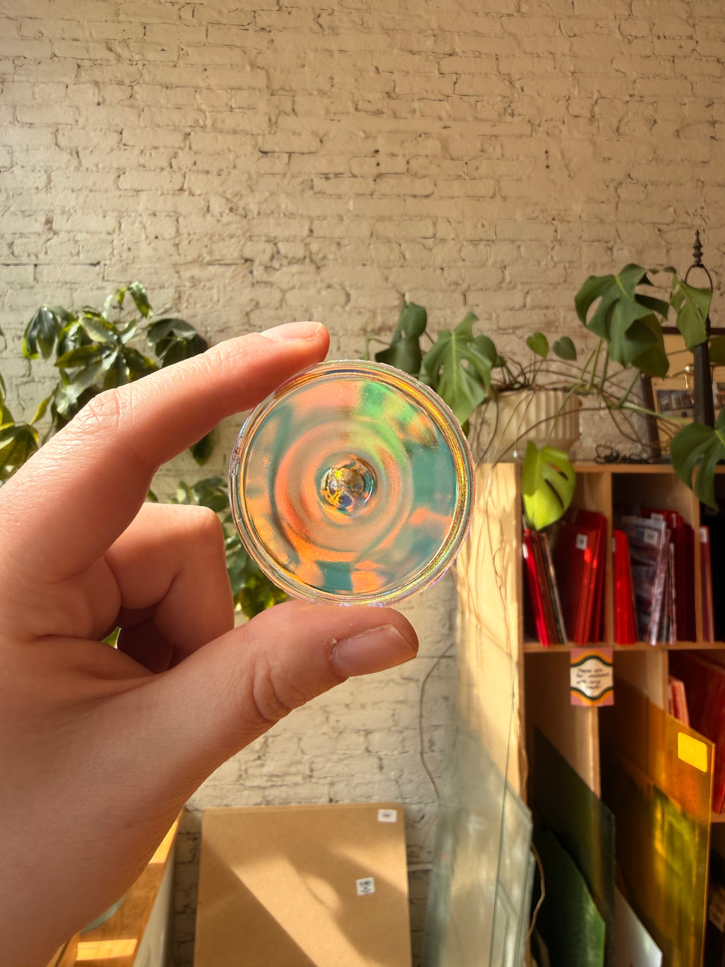 A hand holds a circular clear rainbow glass disc in front of a sunlit brick wall and indoor plants.