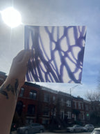 Hand holding a piece of glass with a purple pattern against a city street background