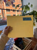 Hand holding a yellowish piece of glass with a window and plant in the background