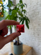 Hand holding a red square gemstone with a plant and light-colored wall in the background
