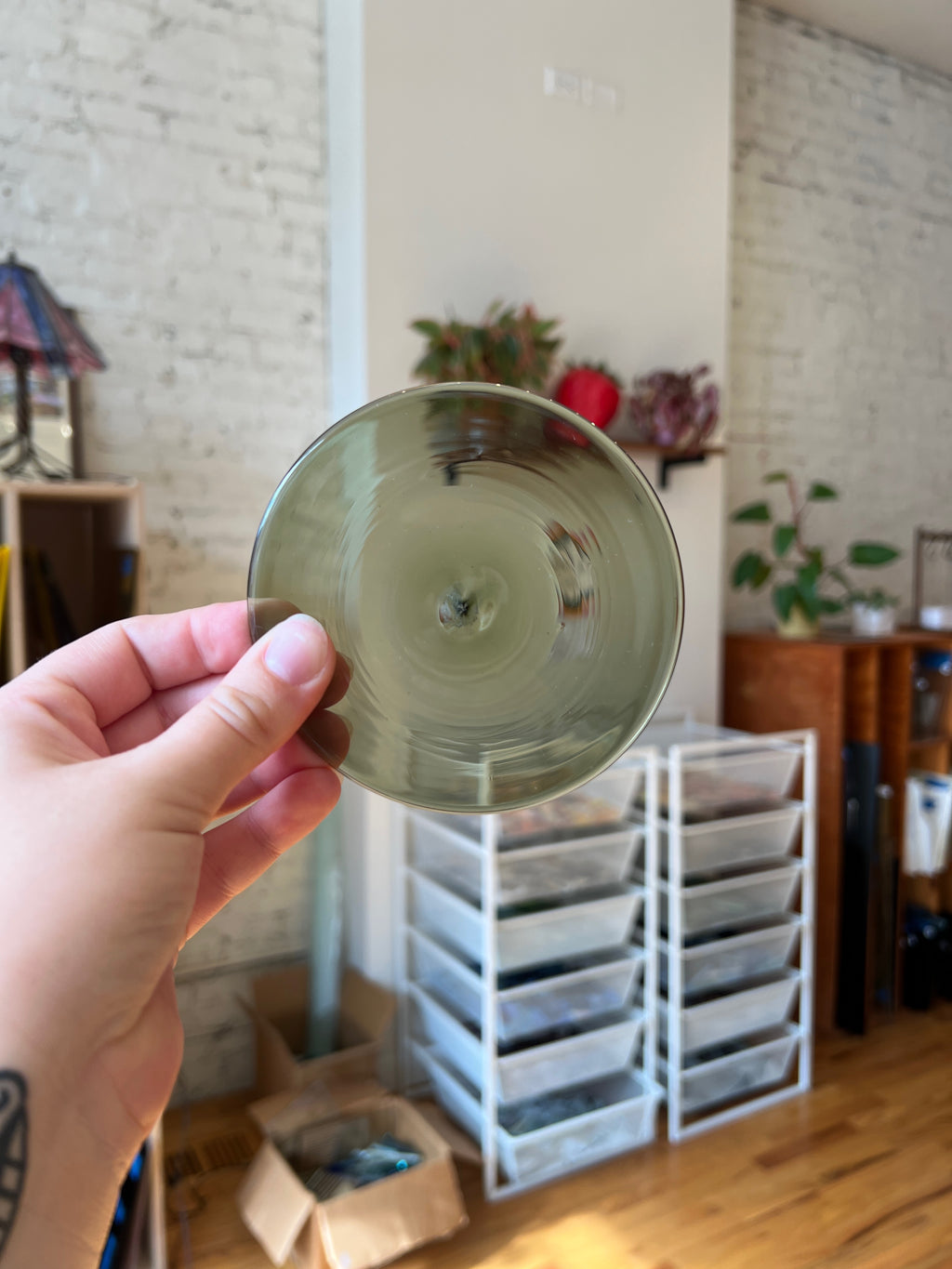 Person holding a rondel in an indoor setting with storage units and plants.