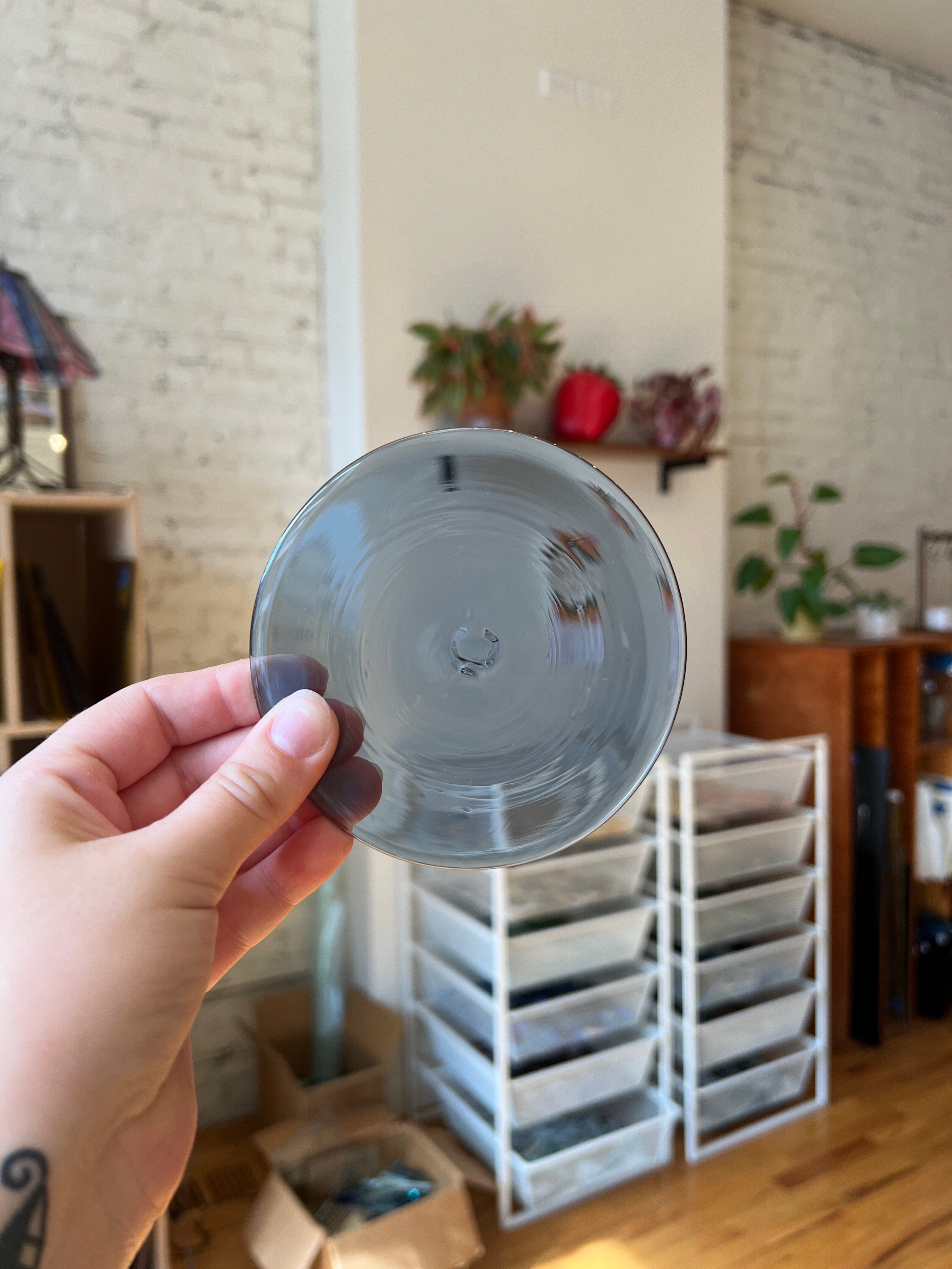 Rondel held in front of a room with storage shelves and plants.