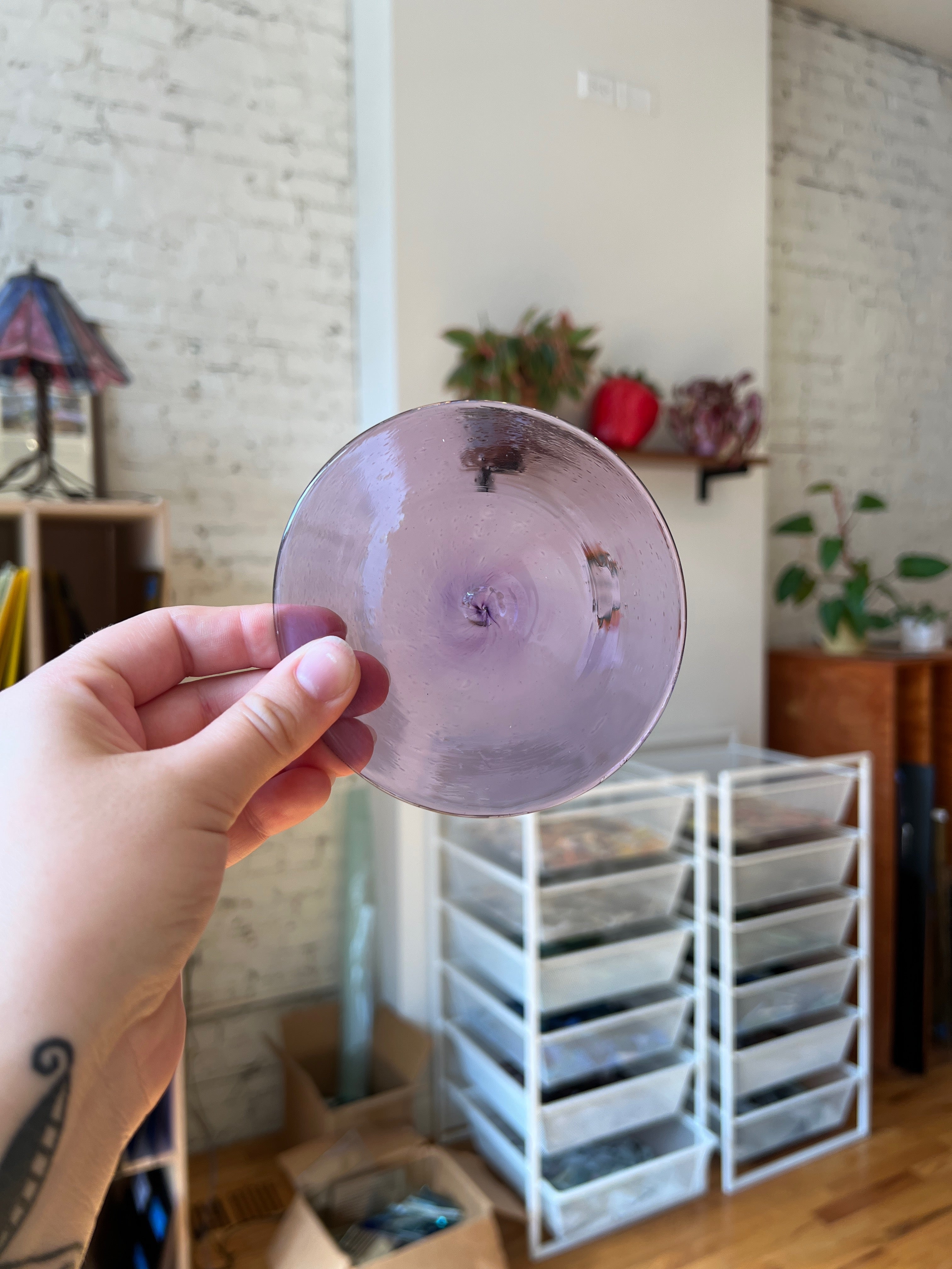 Hand holding a purple rondel in a room with storage units and plants.