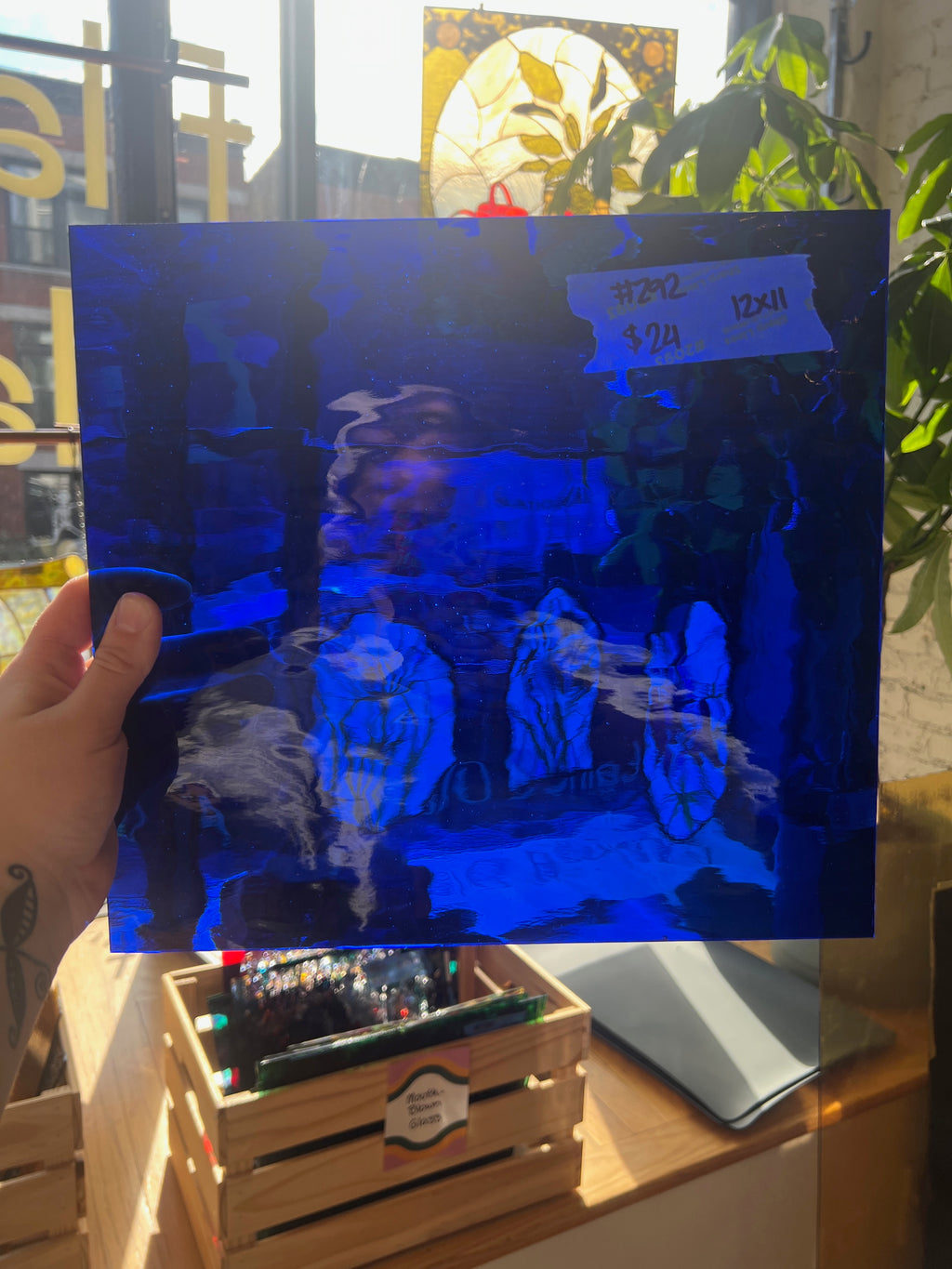 Person holding a blue-tinted piece of stained glass with a plant in the background