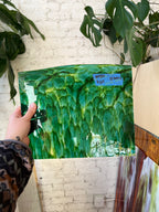 Green patterned sheet glass