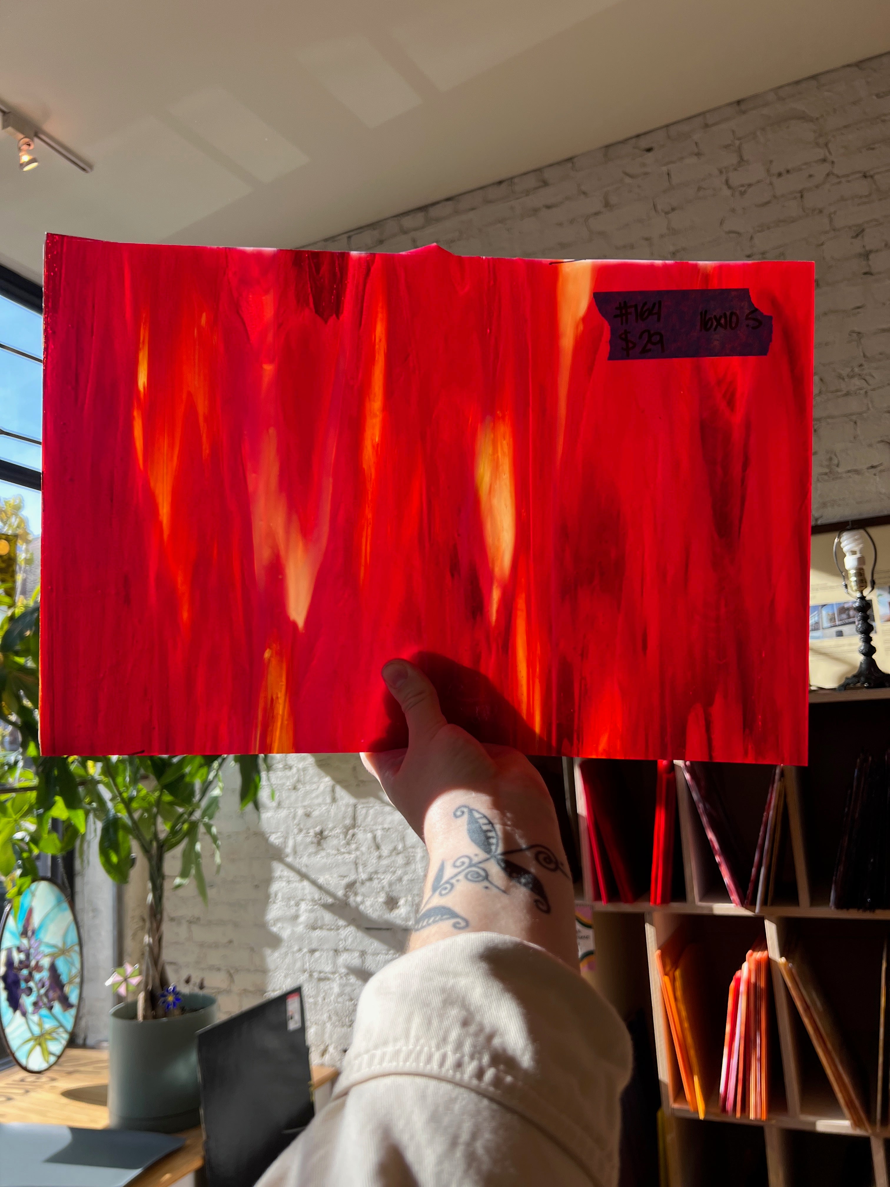 Person holding a red glass sheet indoors with a plant and bookshelf in the background.