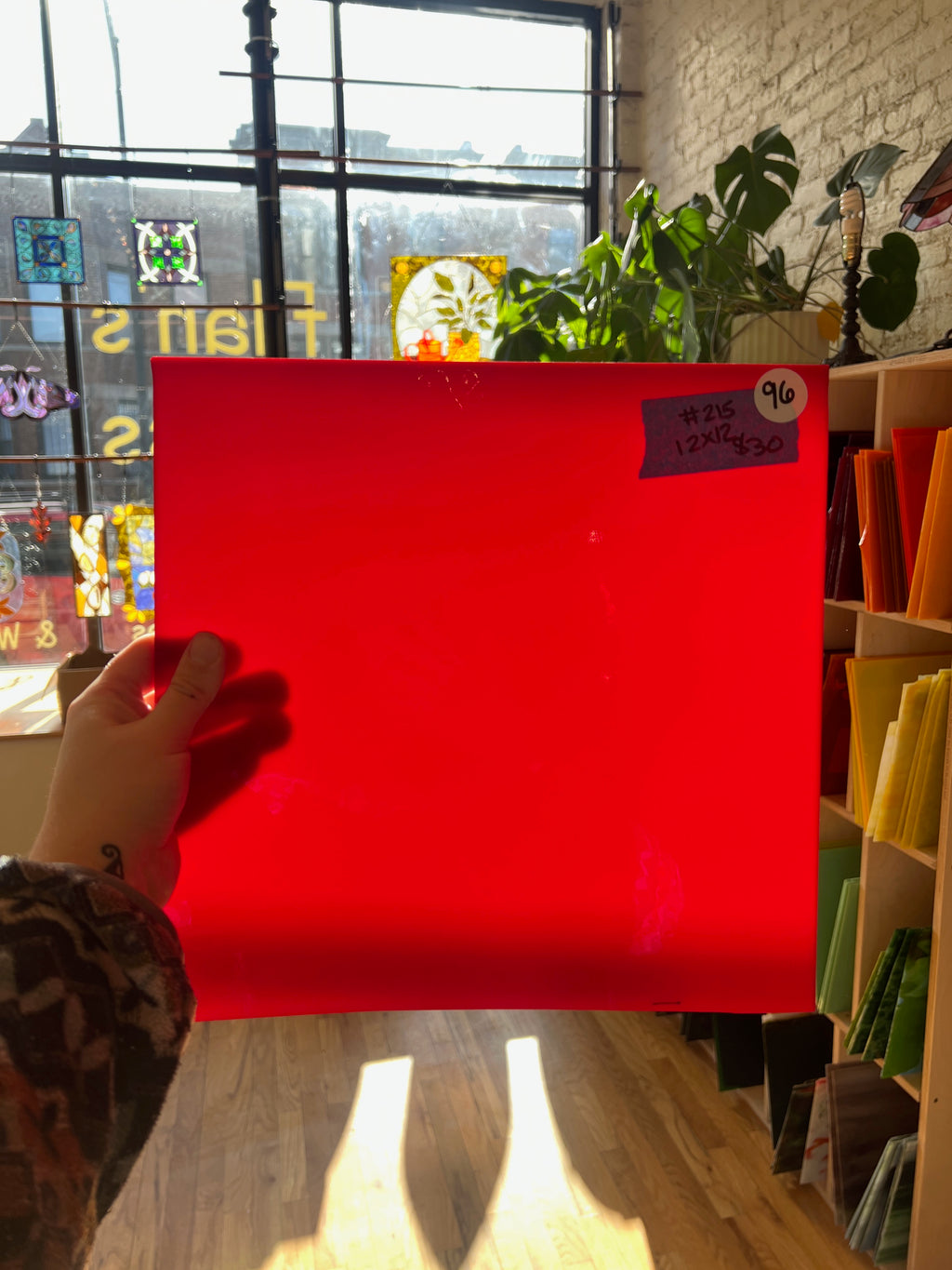 Person holding a red sheet of glass in front of a window with plants and books in the background