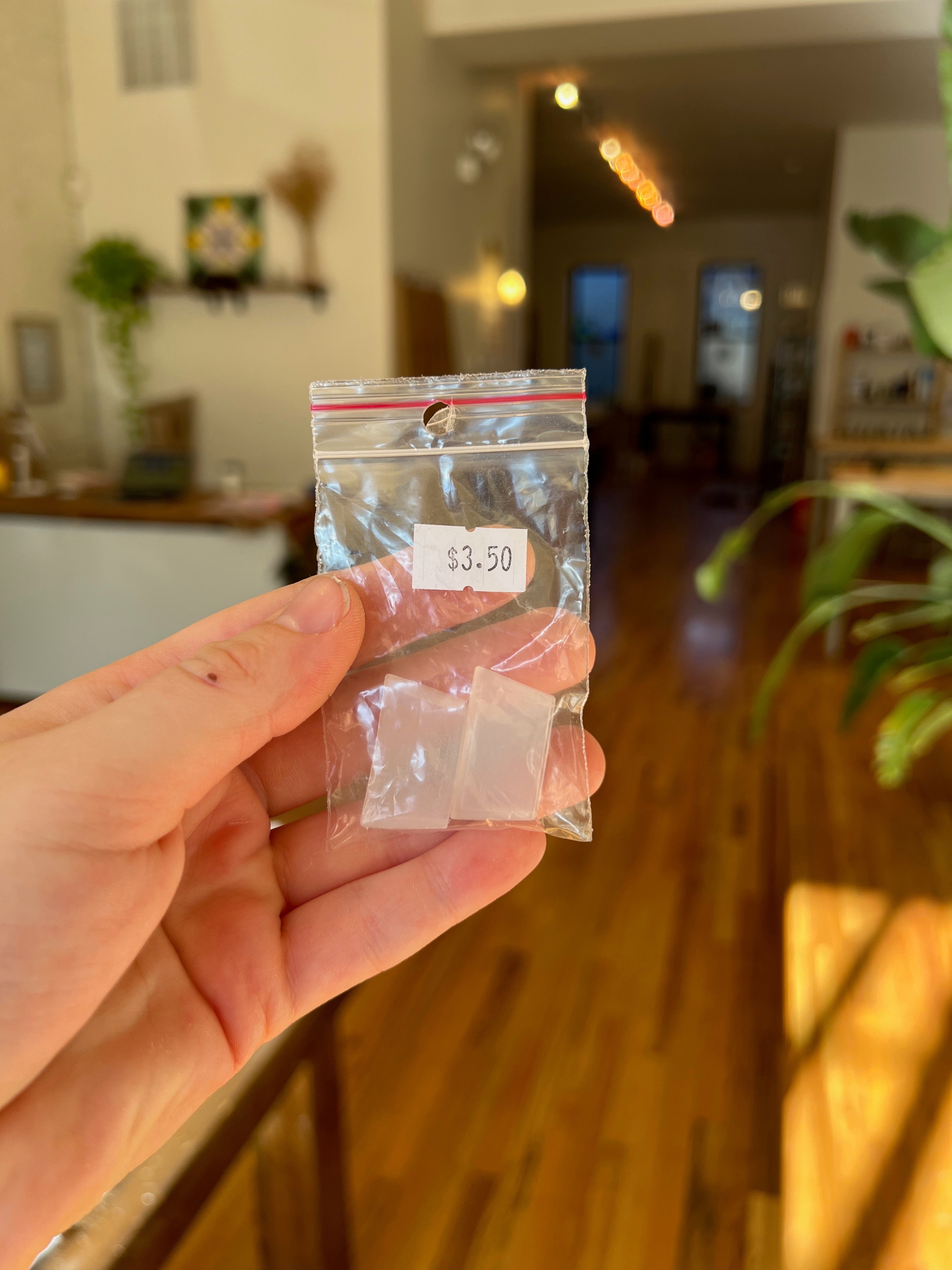 Hand holding a clear plastic bag with a small item inside