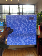 Blue textured glass sheet held by a person in a room with a window and plant
