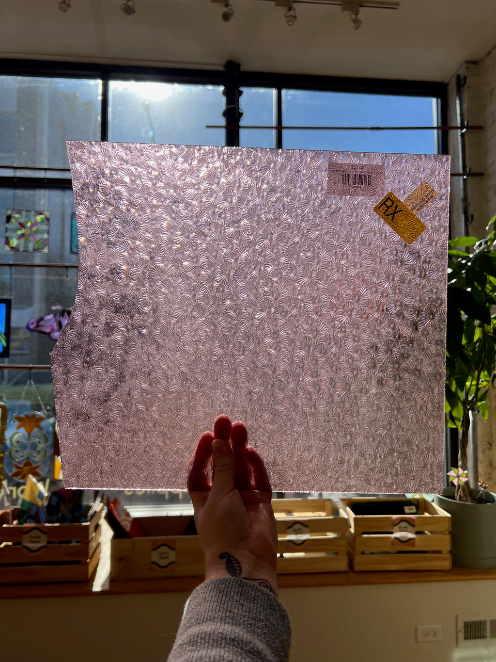 Hand holding a textured pink sheet of glass in front of a window with a plant and decorative items in the background.