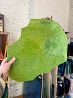 Person holding a large green textured piece of stained glass indoors with a bookshelf in the background